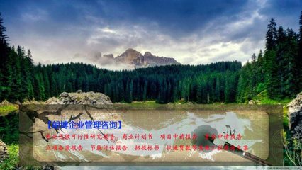 西峰農業廢棄物生產乙醇燃料基地可行性報告 批地立項與企業管理咨詢